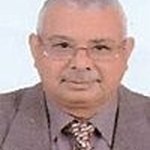 Prof. Sayed Ahmed Sayed